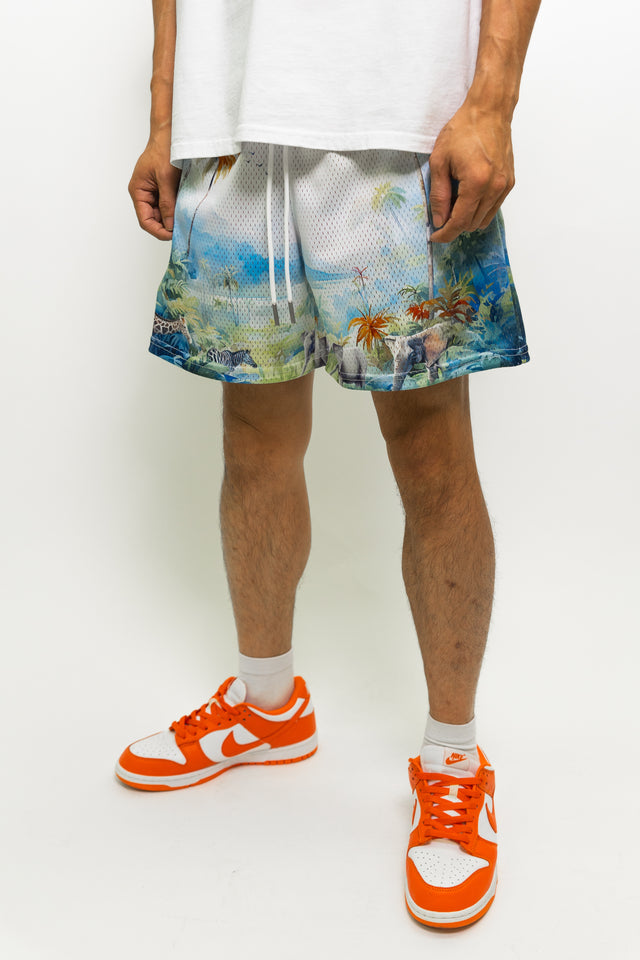 Tropical Fundamental Short