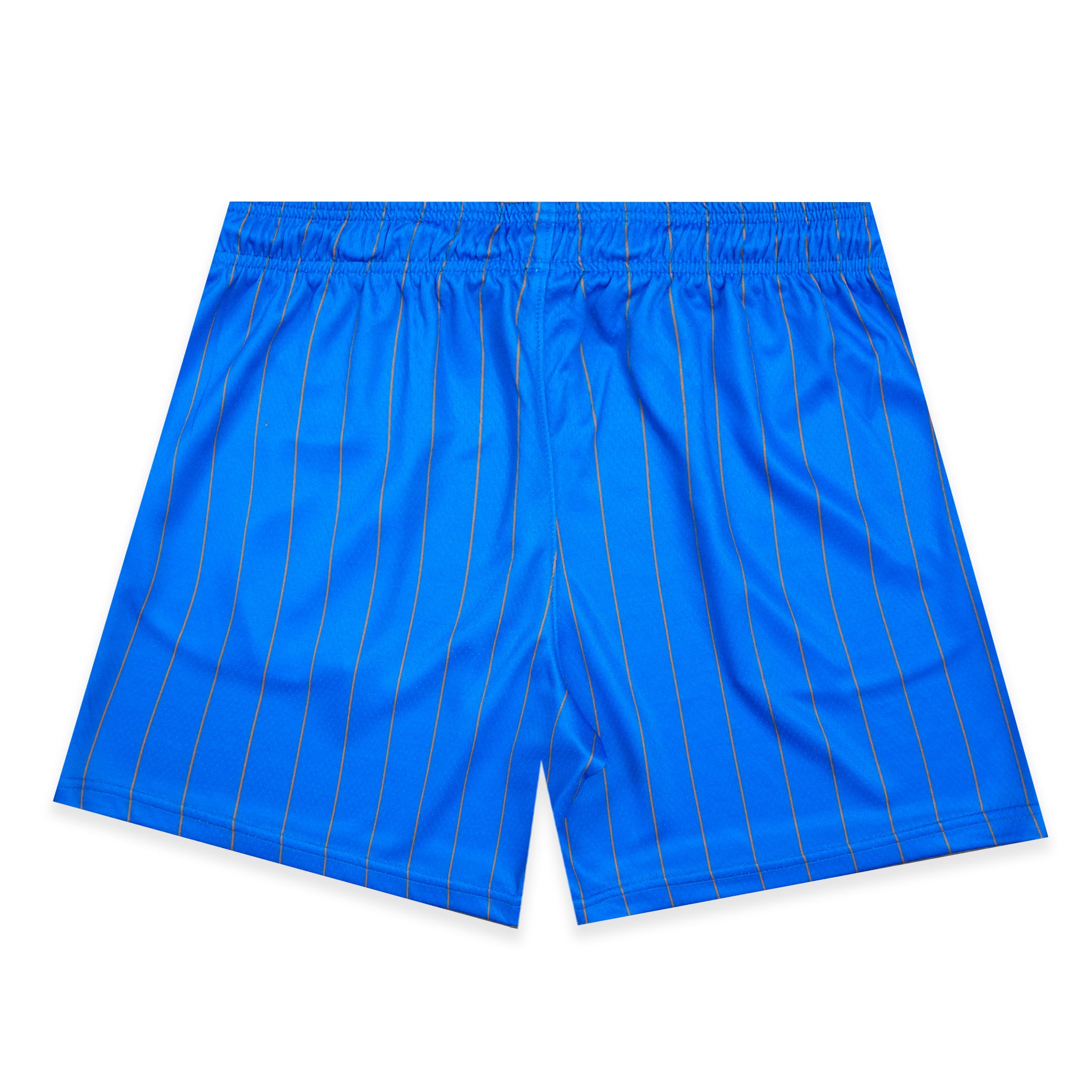 NY Pinstripe Fundamental Short back