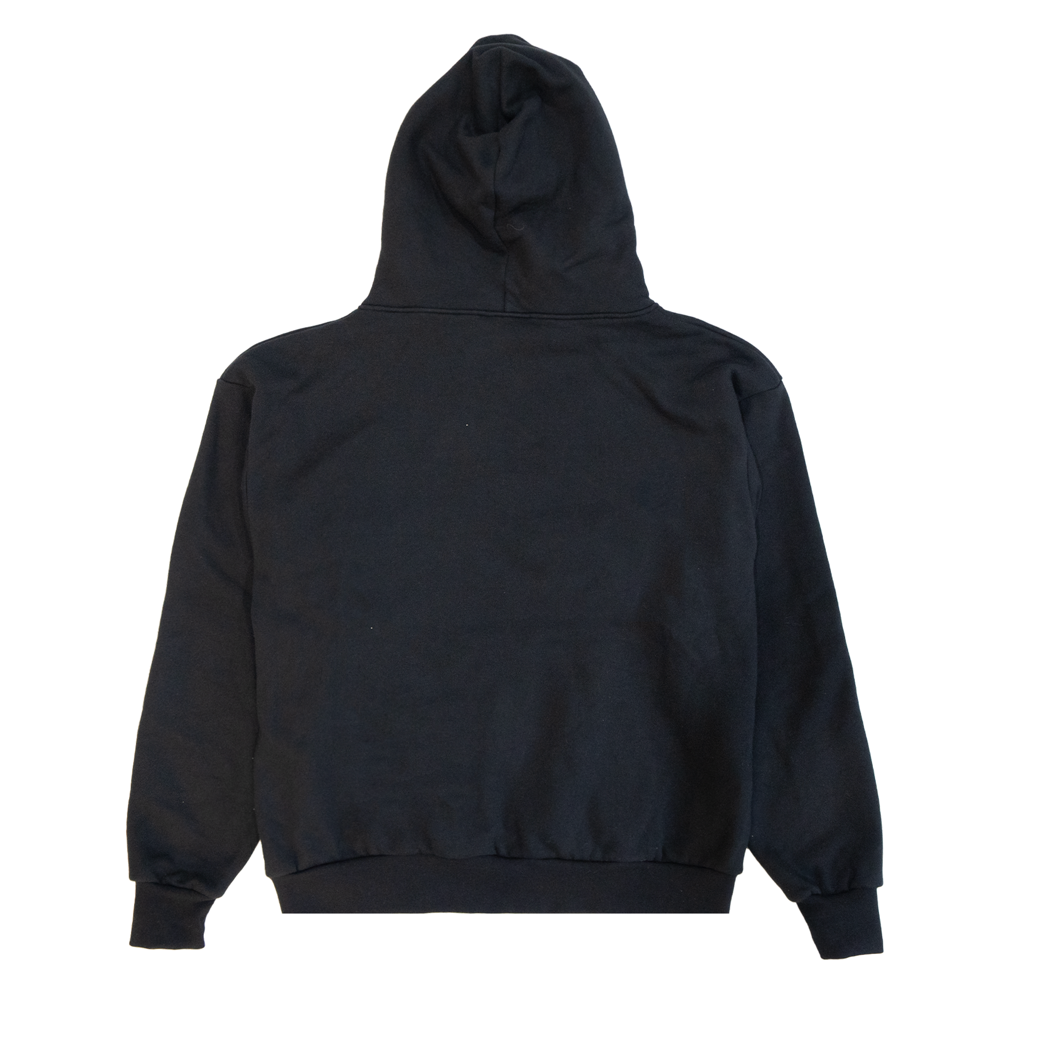 What if we could Embroidered Hoodie