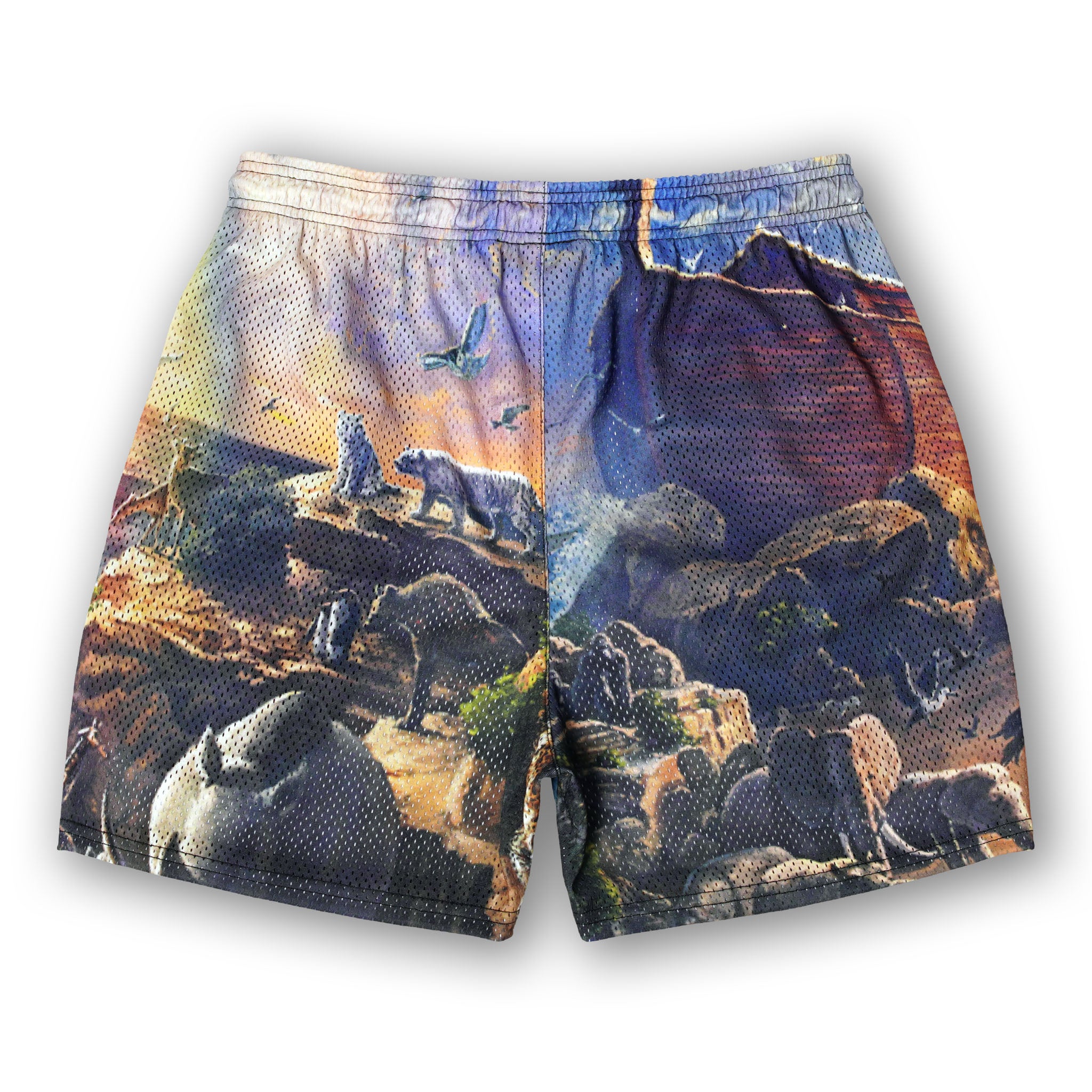 Noah's Fundamental Short