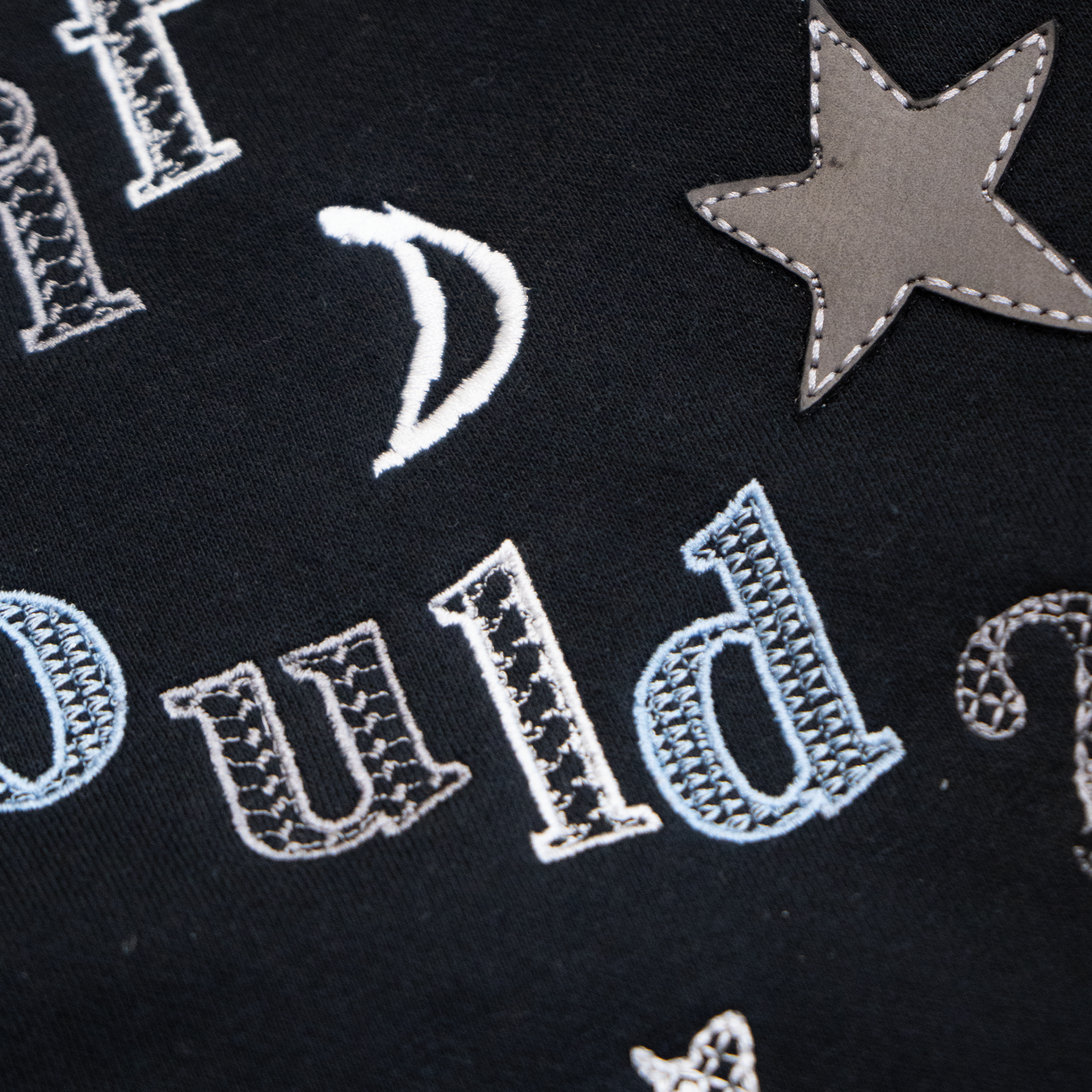 What if we could Embroidered Hoodie